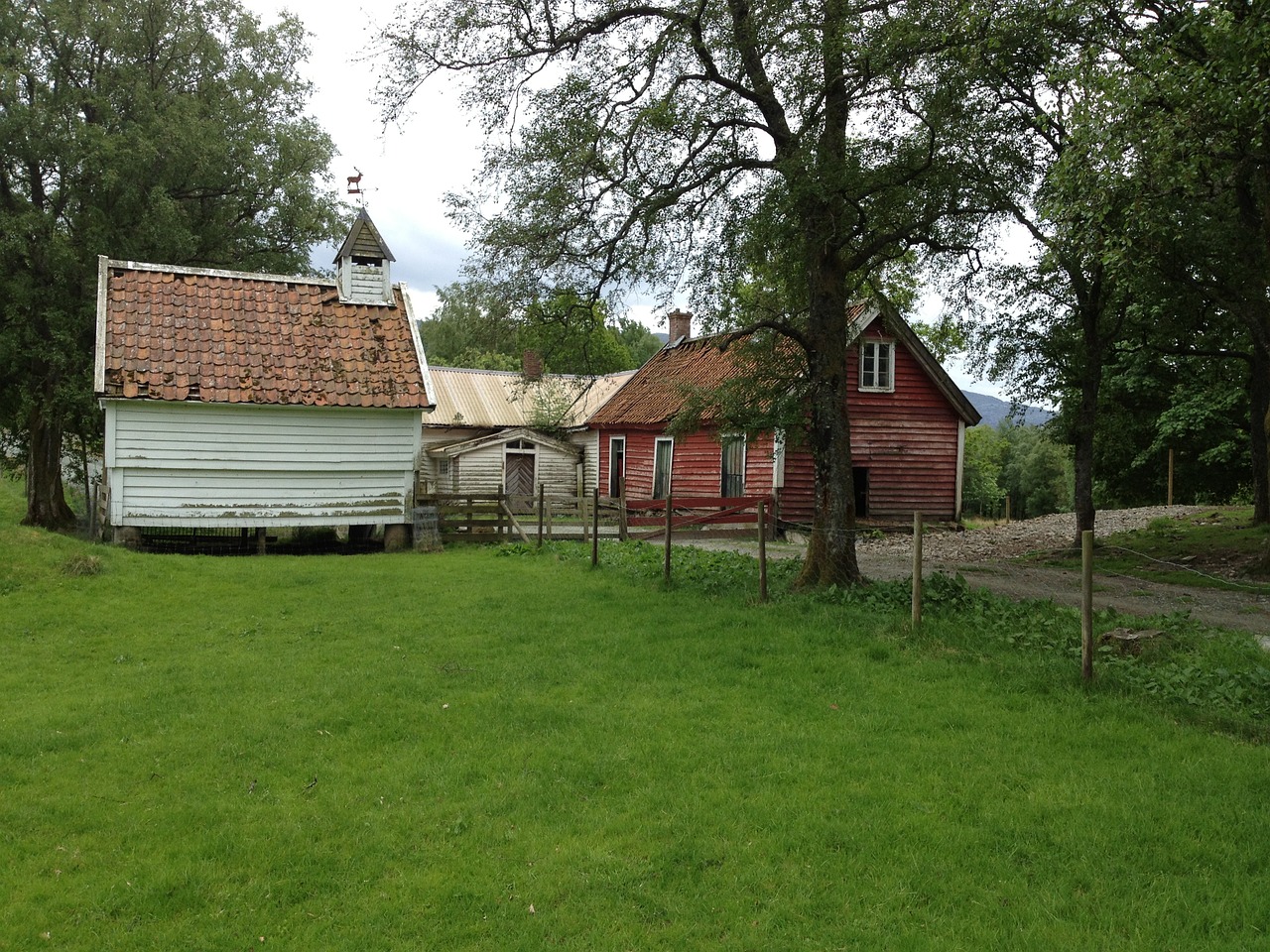 svanøy norway island free photo