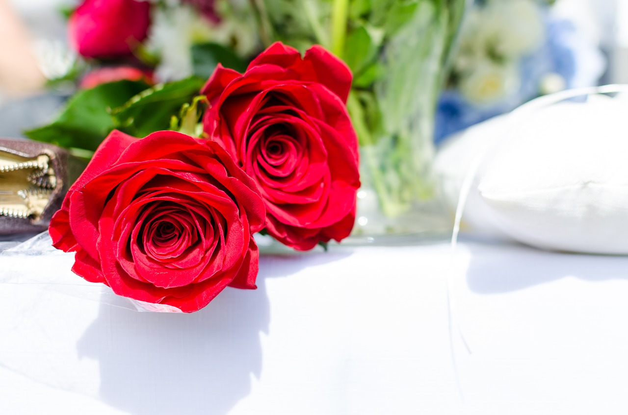 svatba růže červenými free photo
