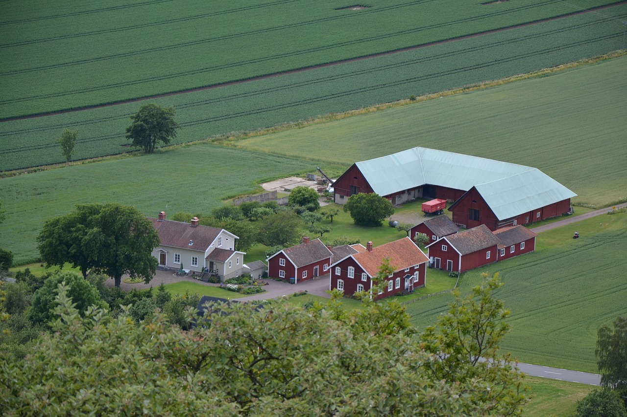 sverige sweden homestead free photo