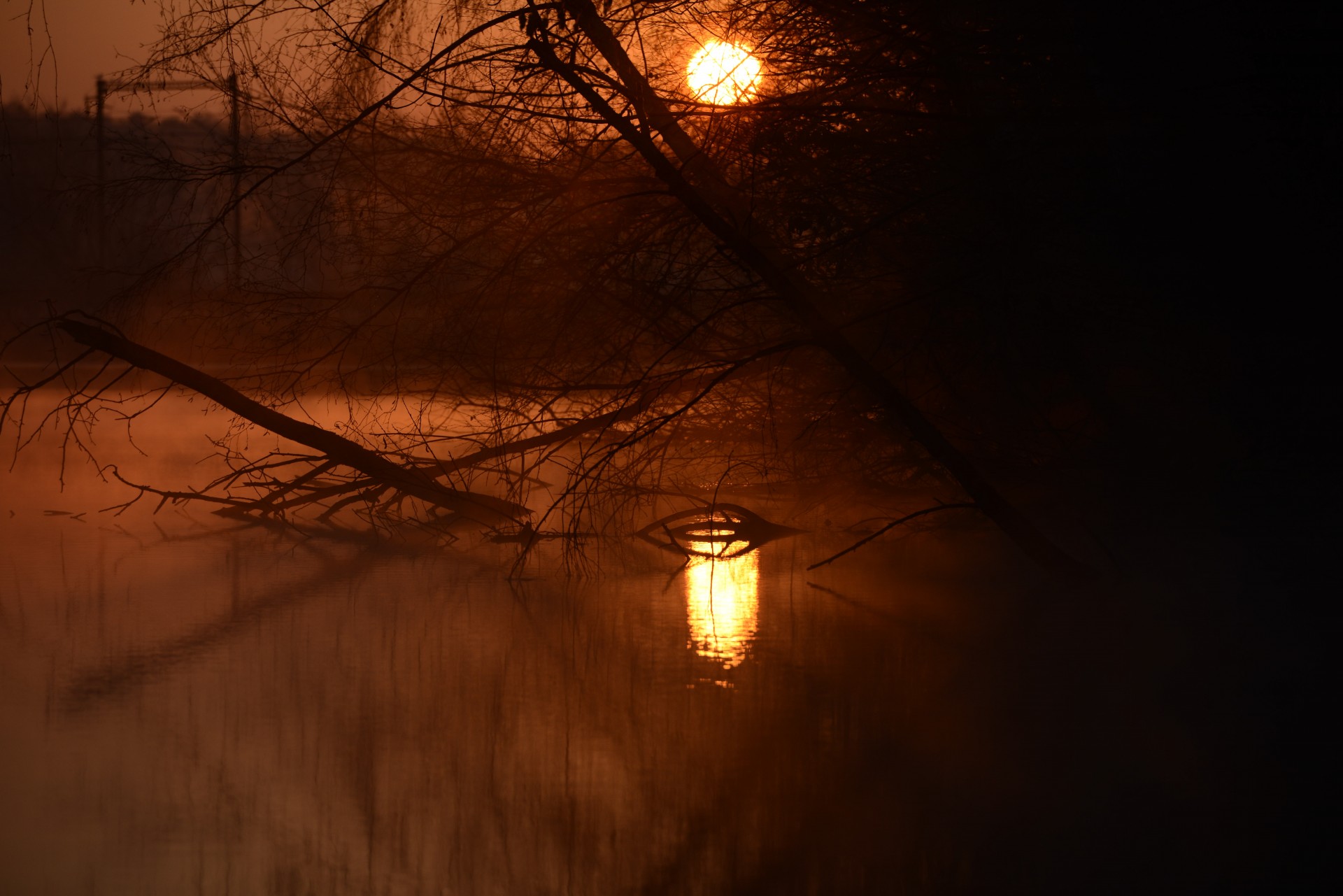 sunrise reflection pond free photo