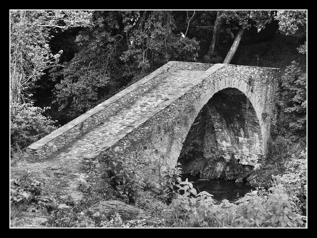 bridge old antique free photo