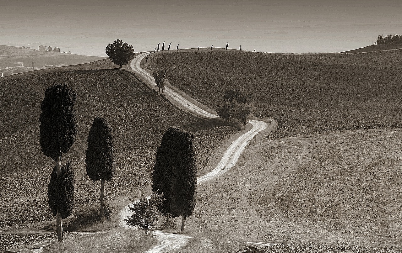 sw tuscany landscape cypress free photo