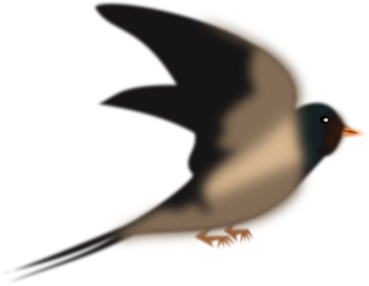 swallow martin pigeon free photo