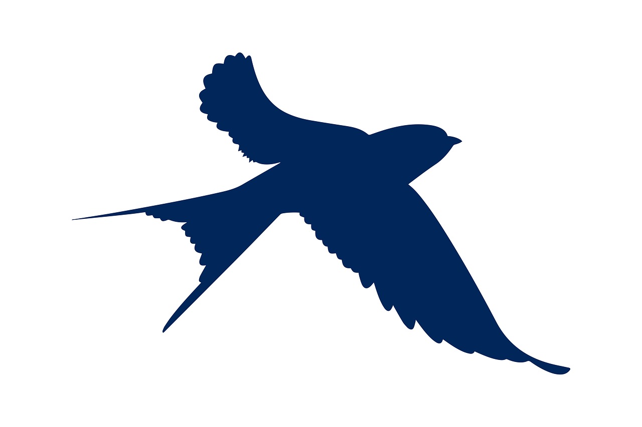 swallows  bird  silhouette free photo