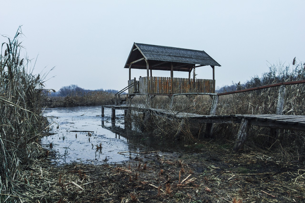 swamp pier hut free photo