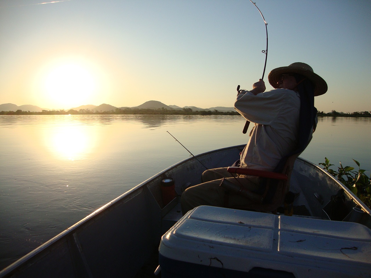 swamp fishing fishery free photo