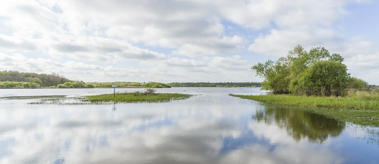 swamp loire atlantique panorama free photo