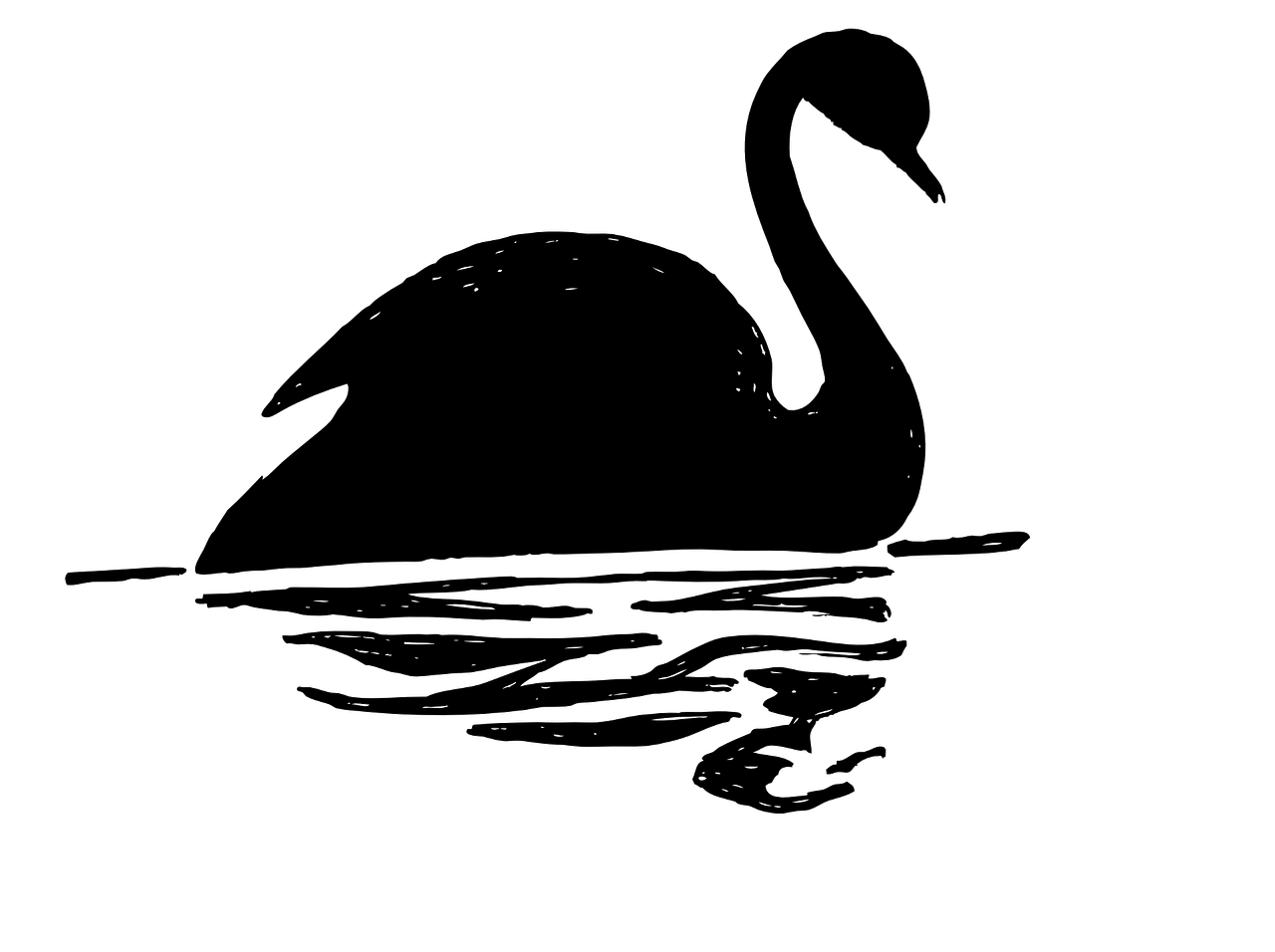 swan bird black free photo