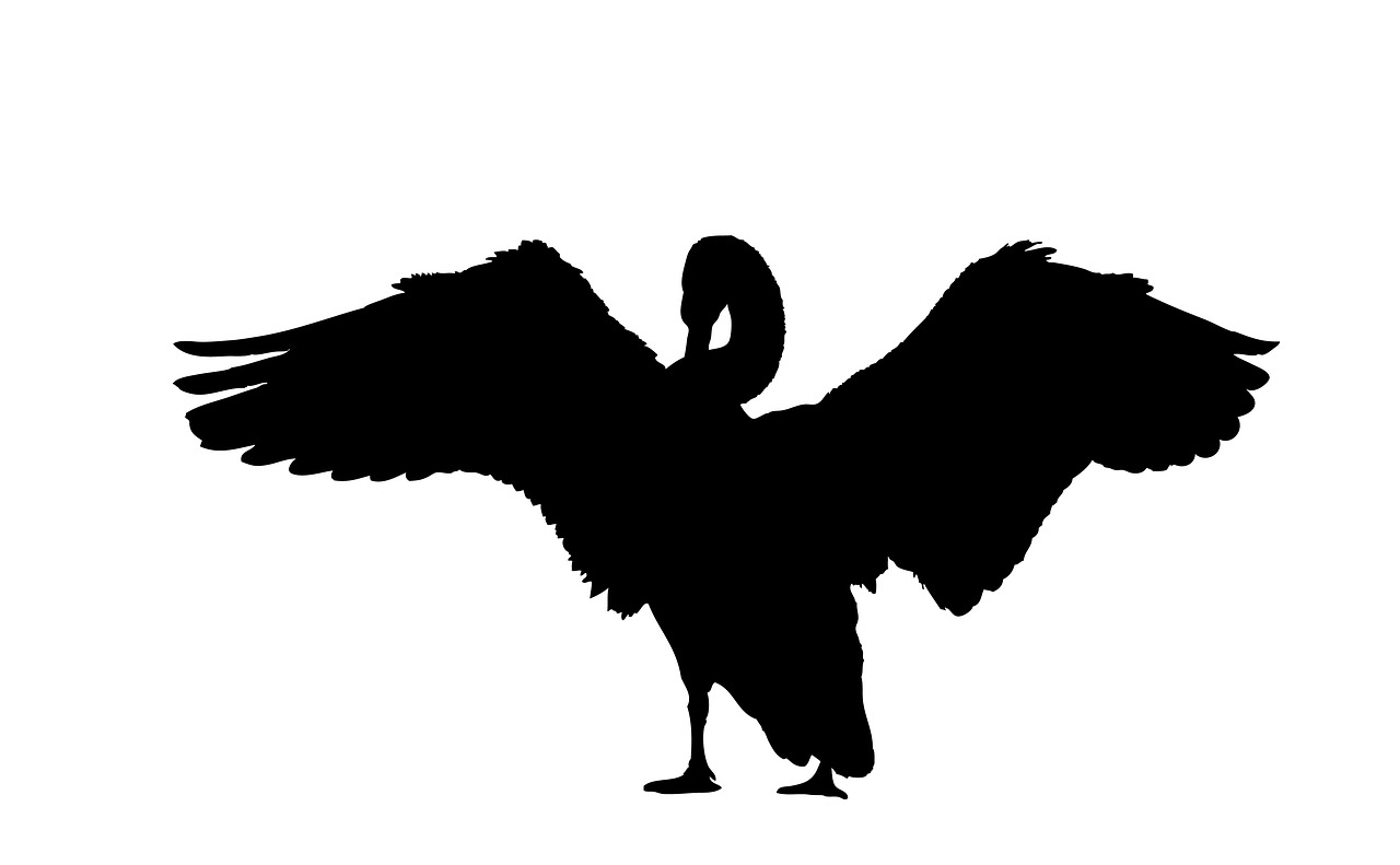 swan silhouette black free photo