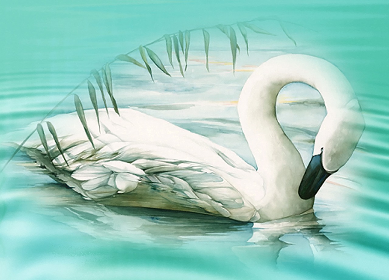 swan lake mood free photo