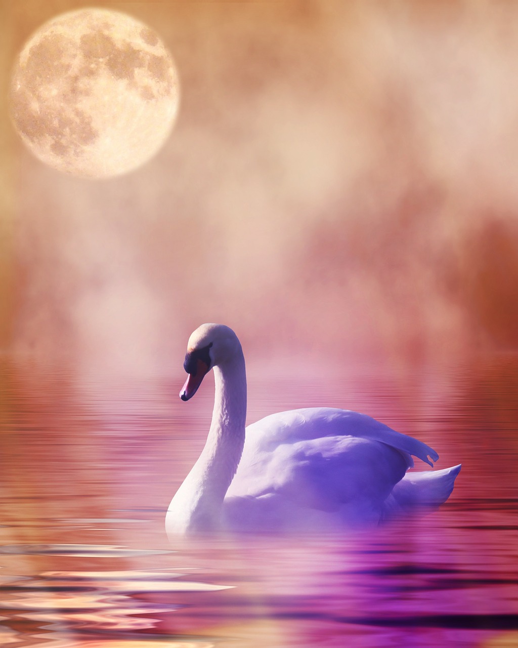 swan romantic digital art free photo