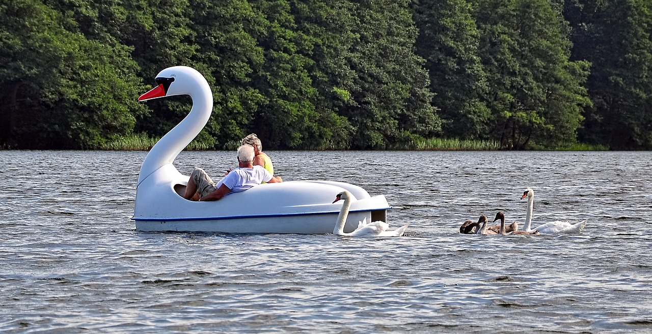 swan leader boat free photo