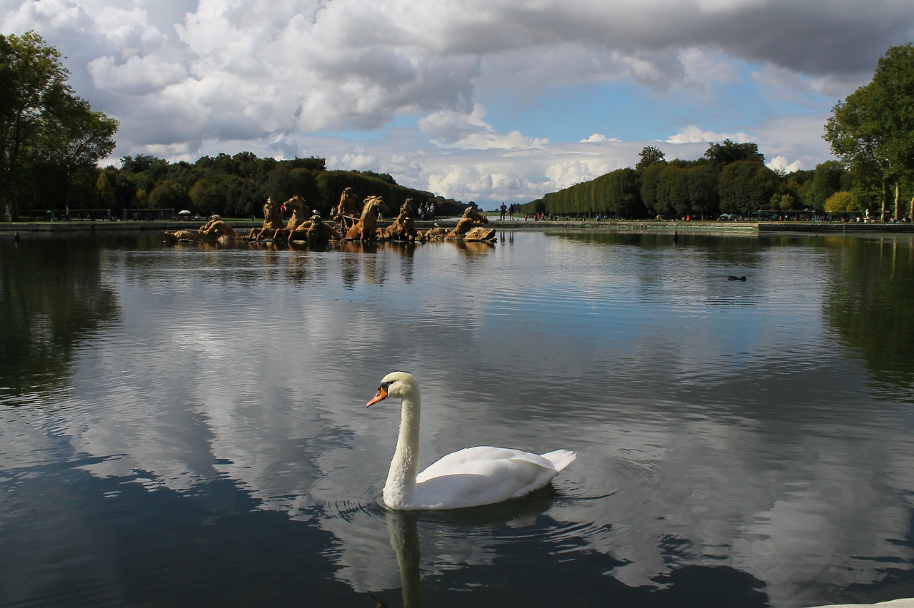 swan lake france free photo