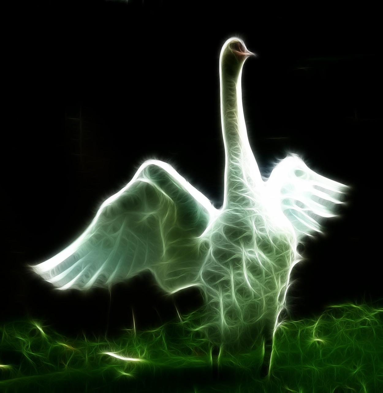 swan image editing image editing programs free photo