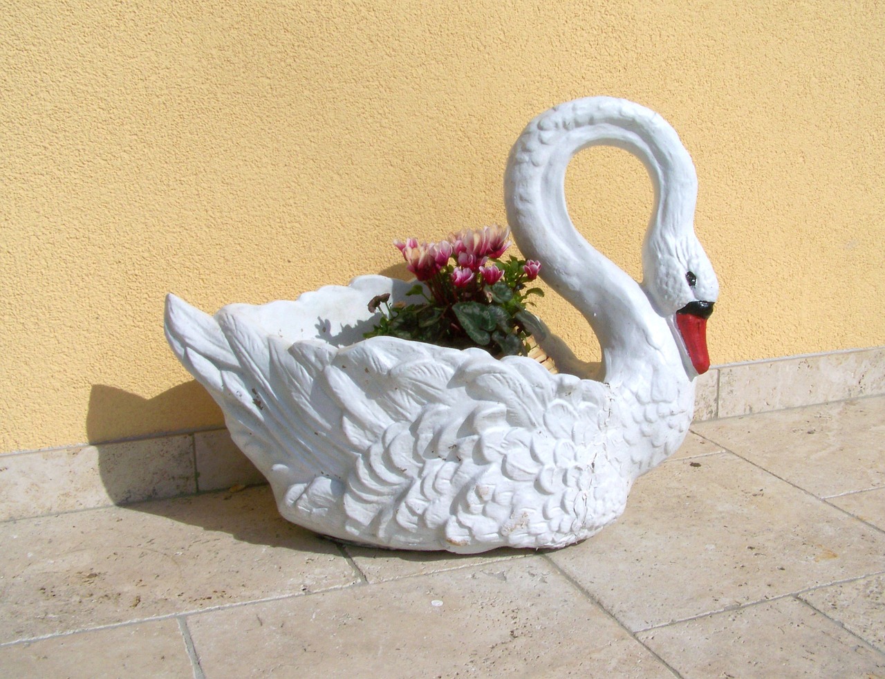 swan garden decor spring flower free photo