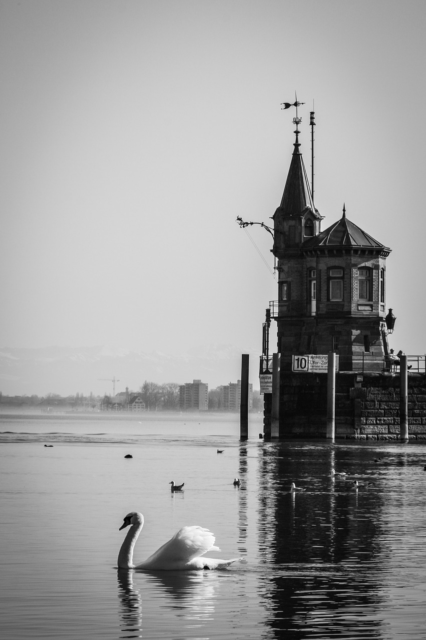 swan castle black and white free photo