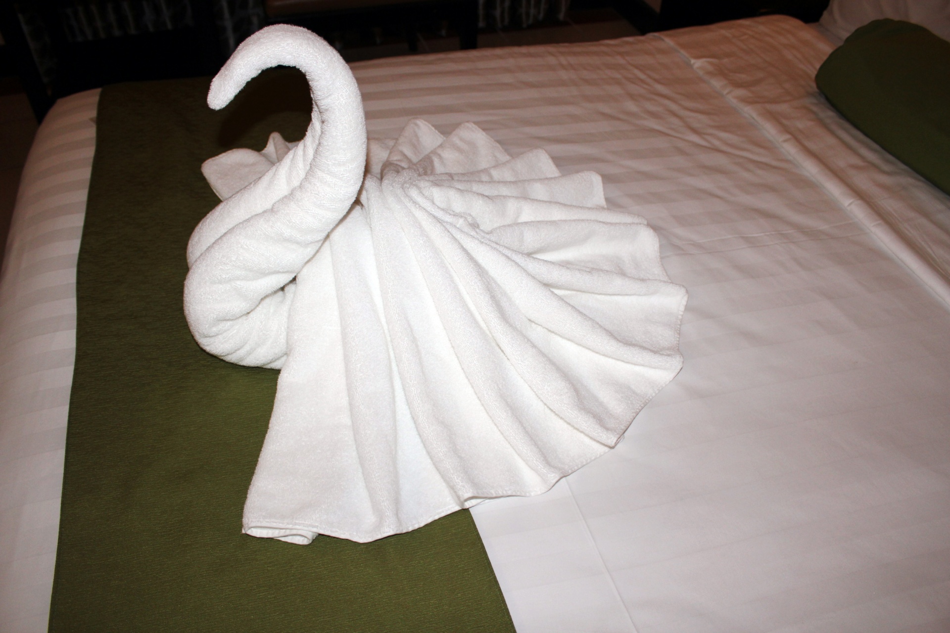 swan white towel swan towel white towel free photo