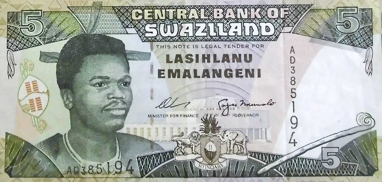 swaziland banknote south africa free photo