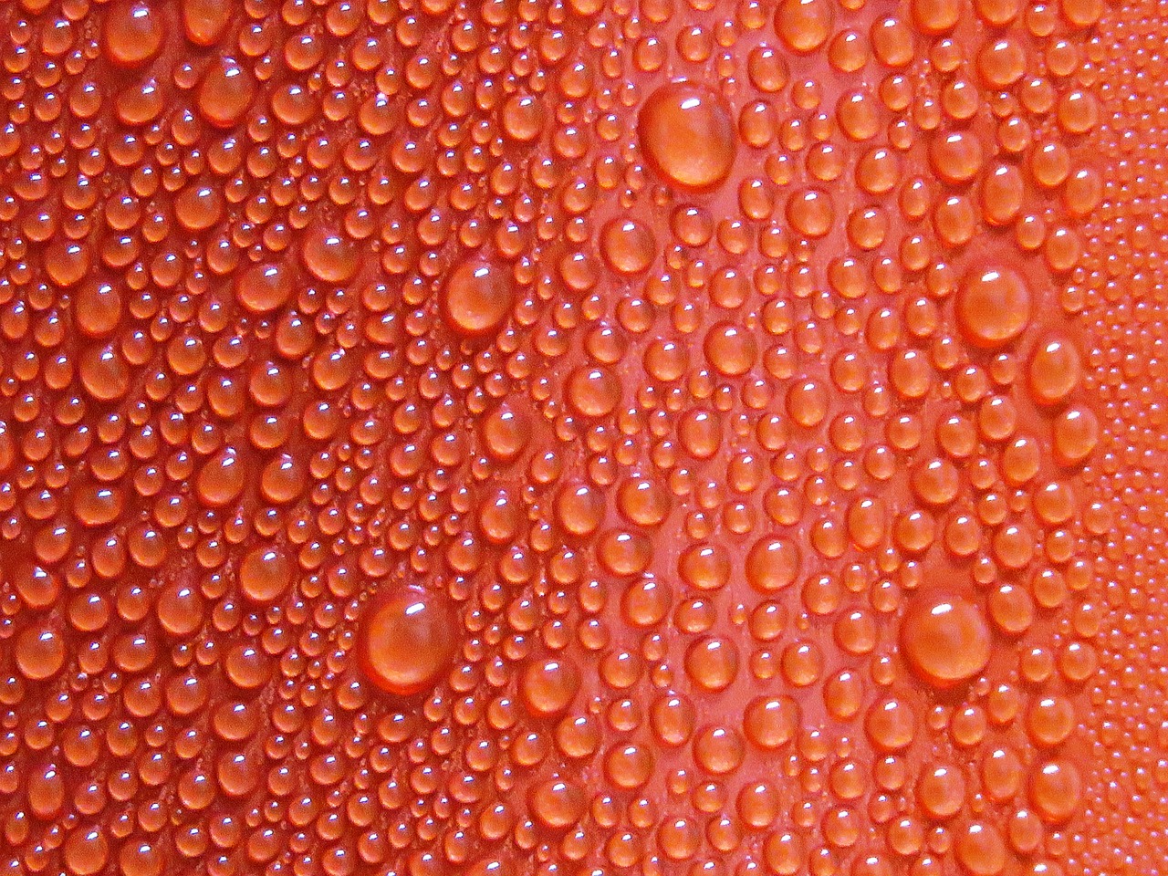 sweating water bubbles water bubbles on cool drinks free photo