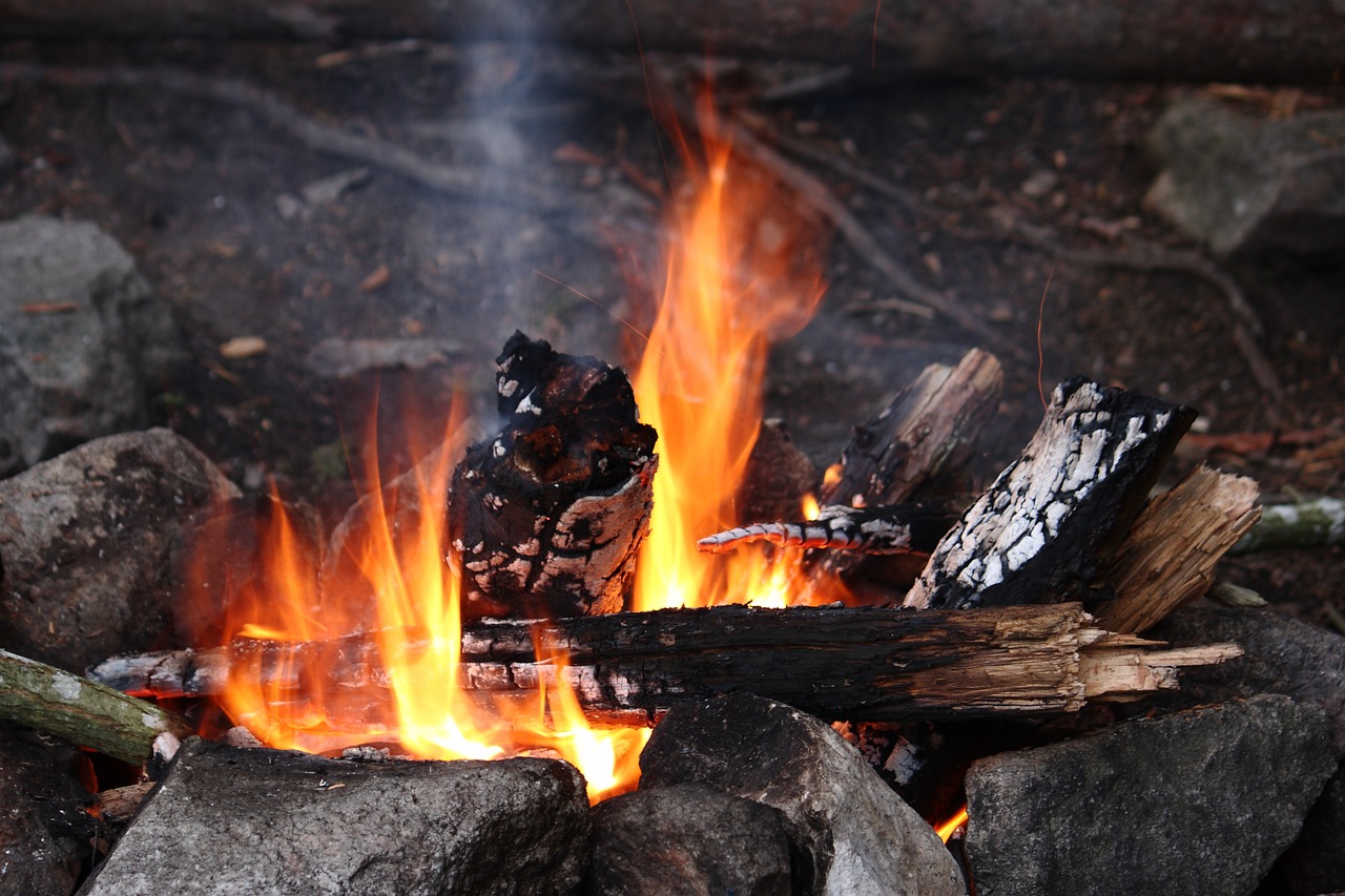 sweden camp bonfire free photo