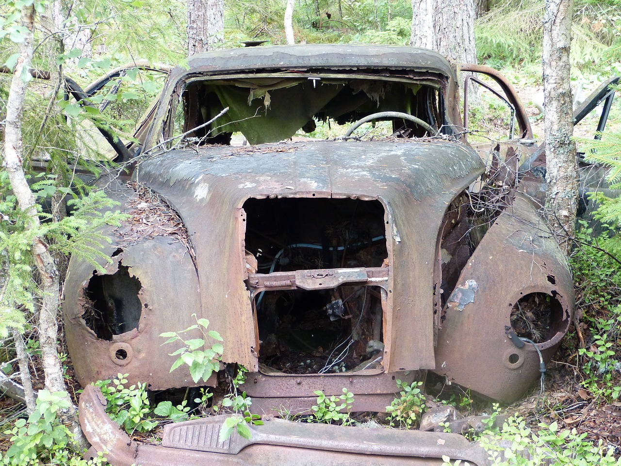 car cemetery smaland nature free photo