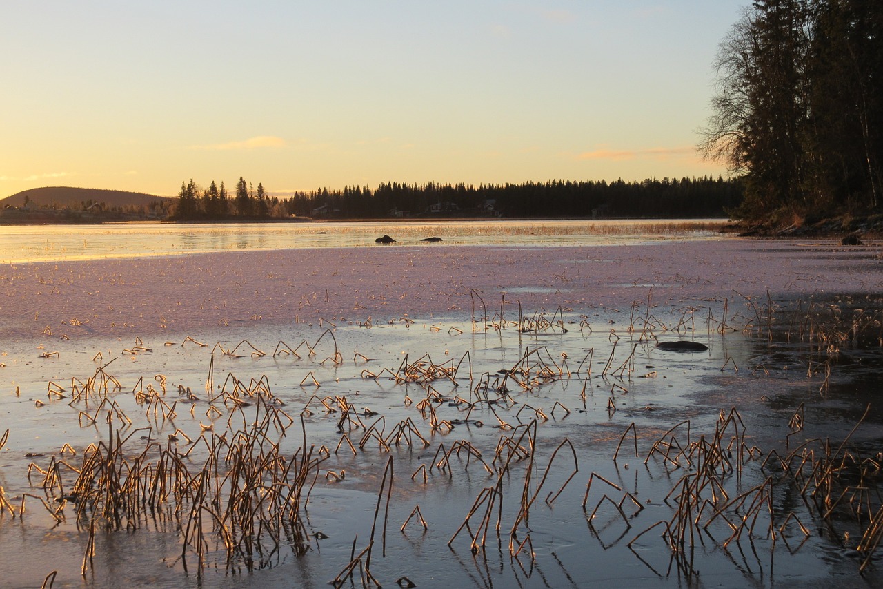 sweden winter soutujärvi free photo
