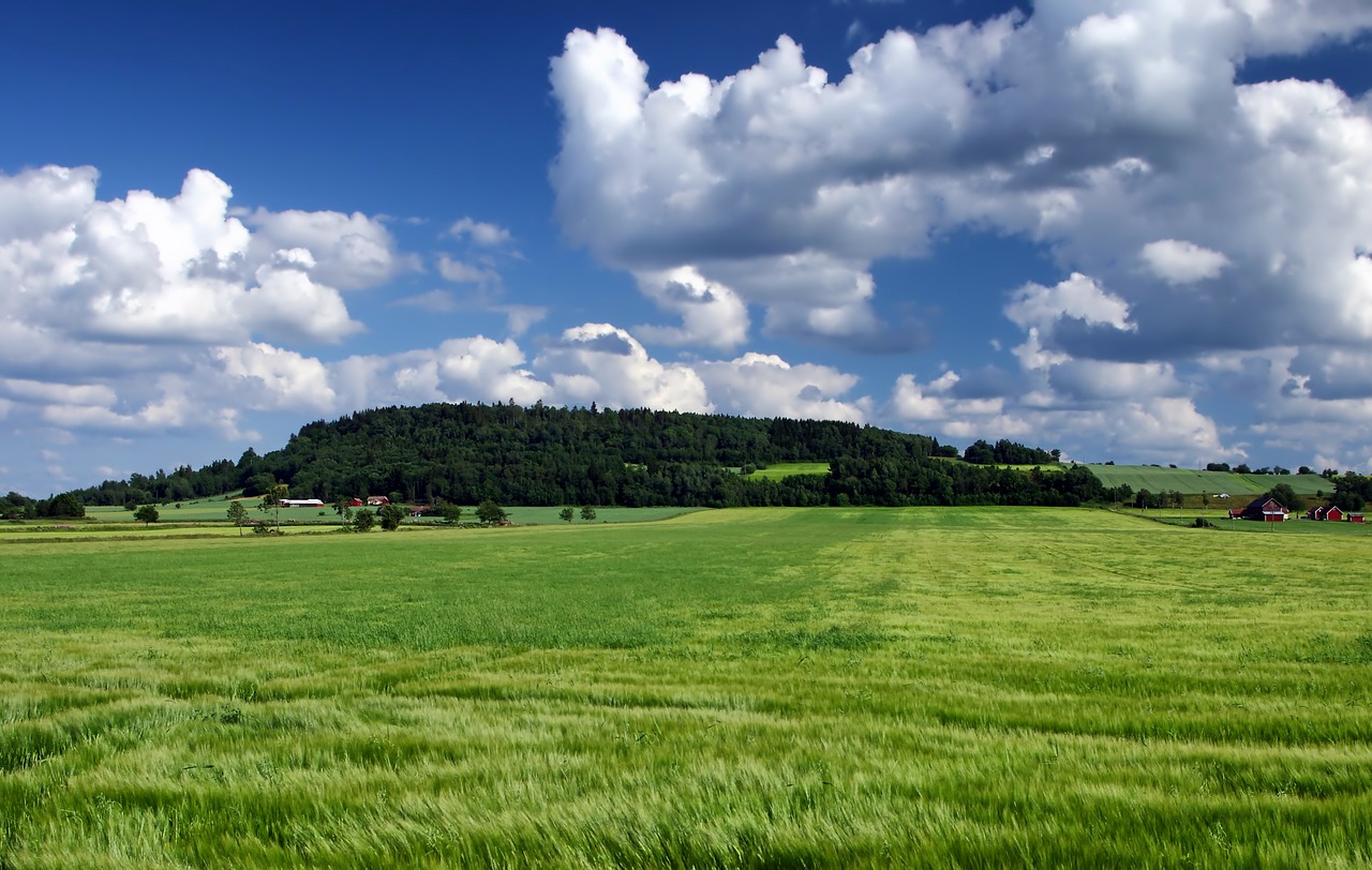 sweden landscape scenic free photo