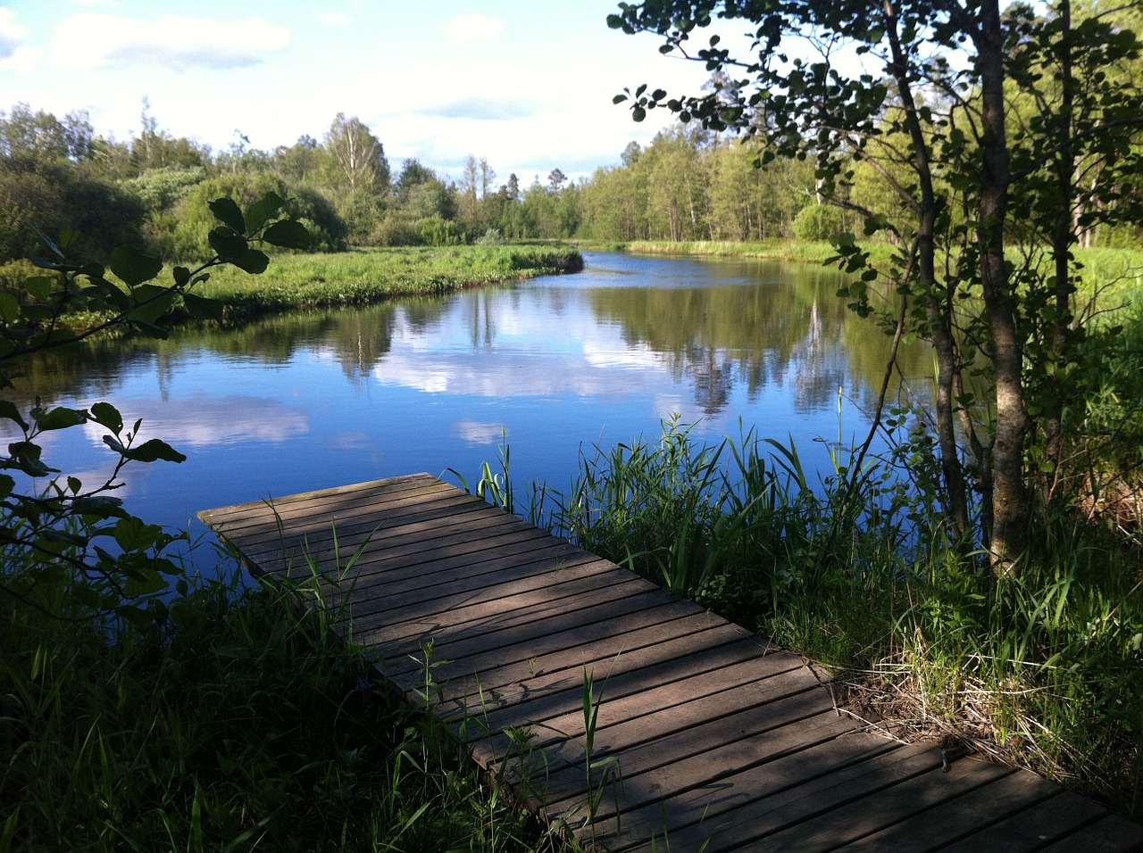 sweden lake idyll free photo