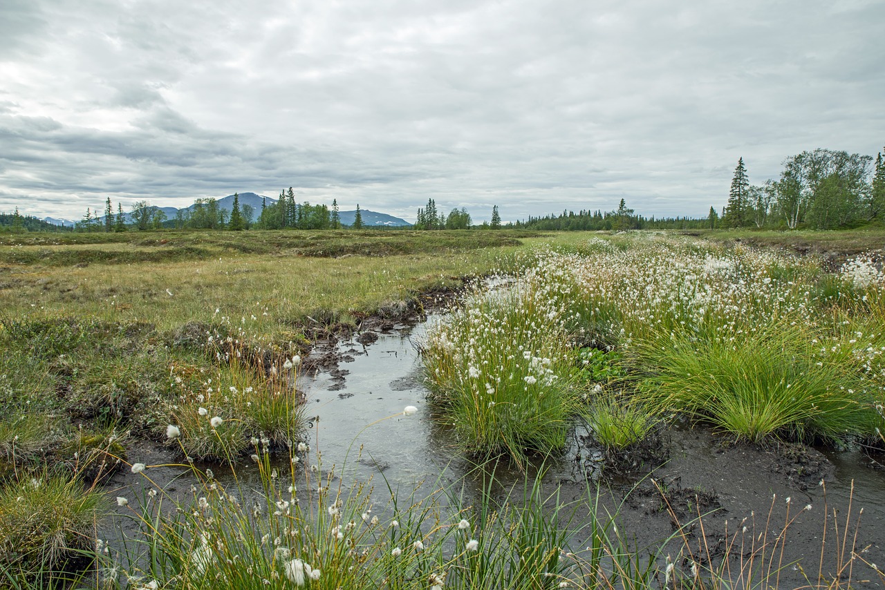 sweden fjäll landscape free photo