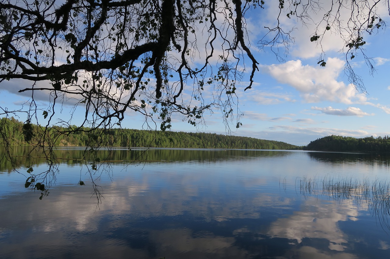 sweden lake landscape free photo