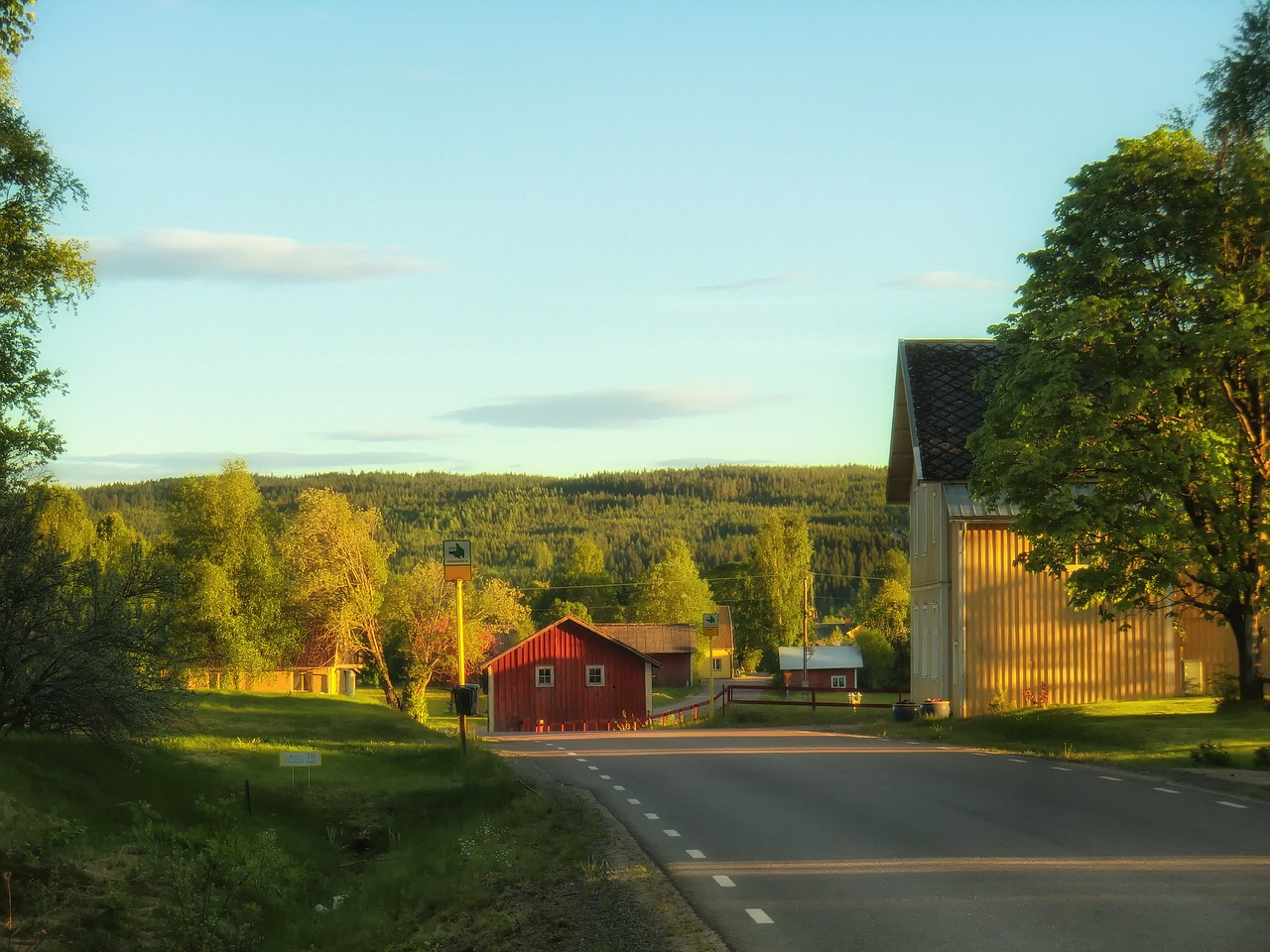 sweden fall autumn free photo