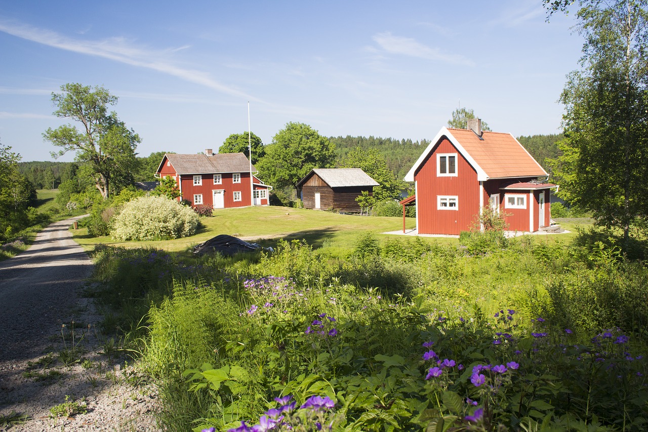 sweden  summer  nature free photo