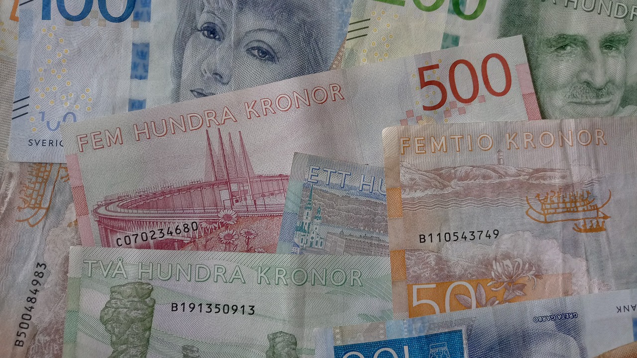 sweden  crowns  currency free photo