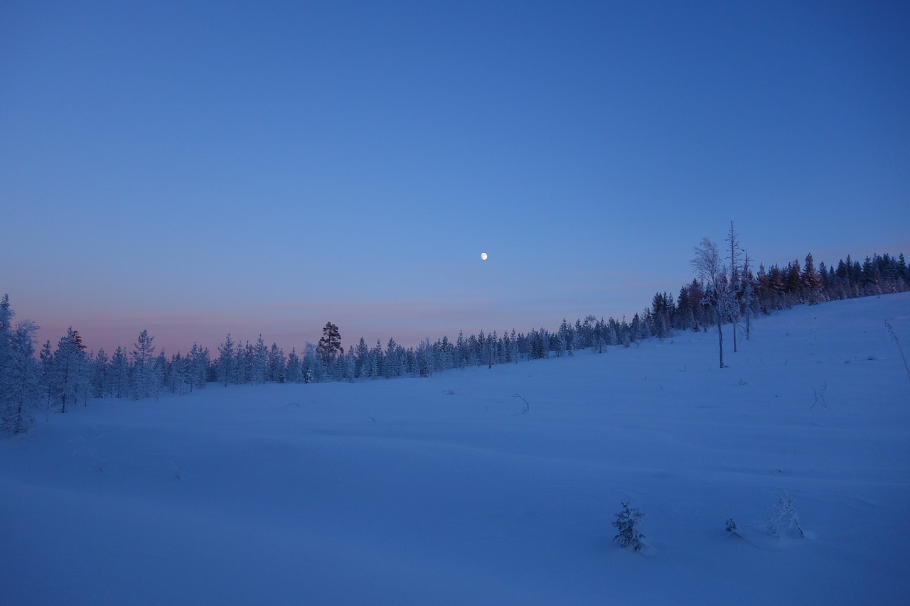 sweden  nature  landscape free photo