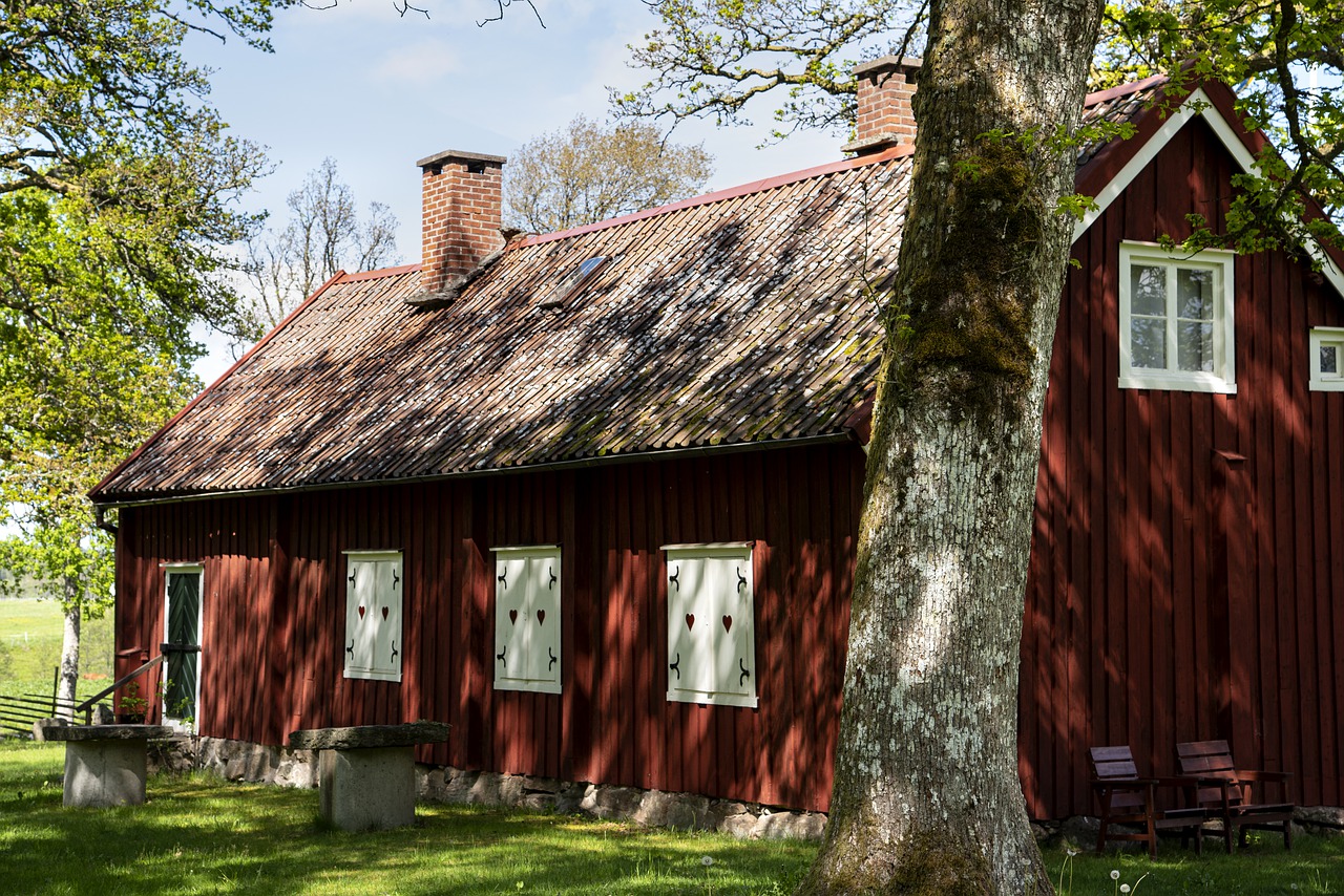 sweden  nature  outdoor free photo