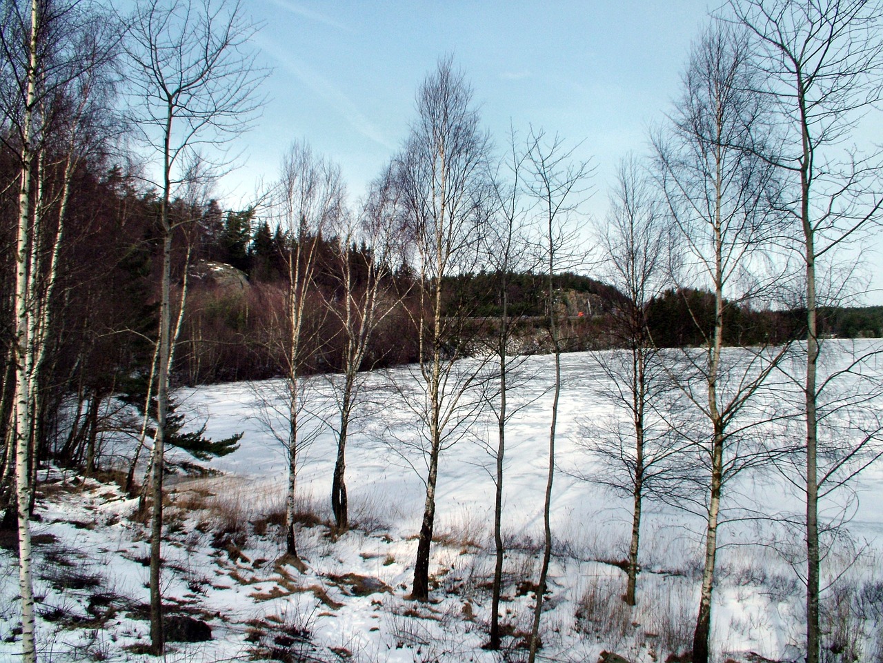 sweden winter landscape free photo