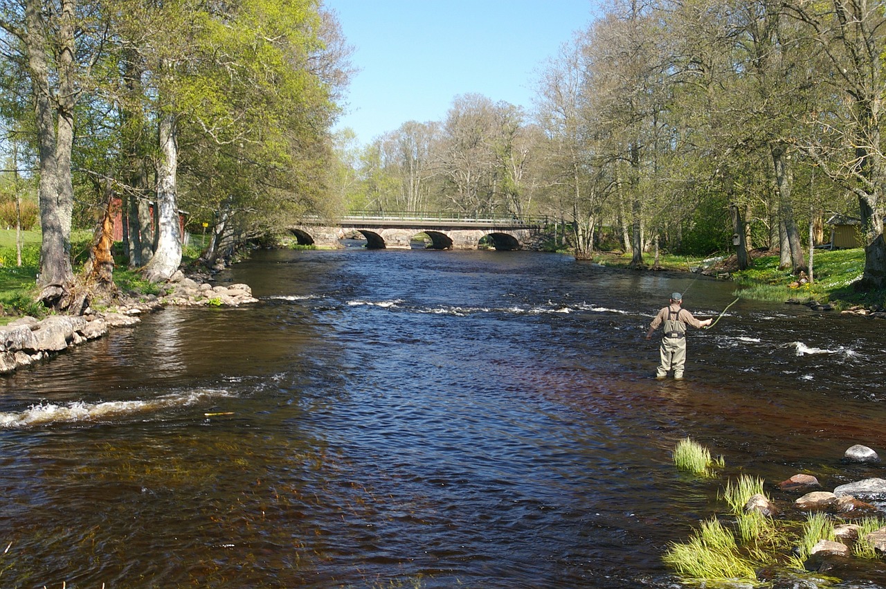 sweden stream river free photo