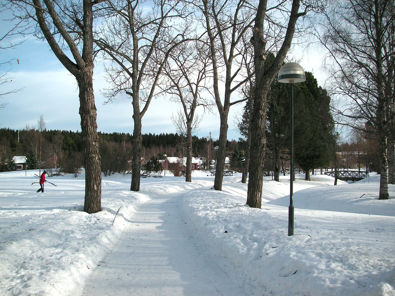 sweden winter snow free photo