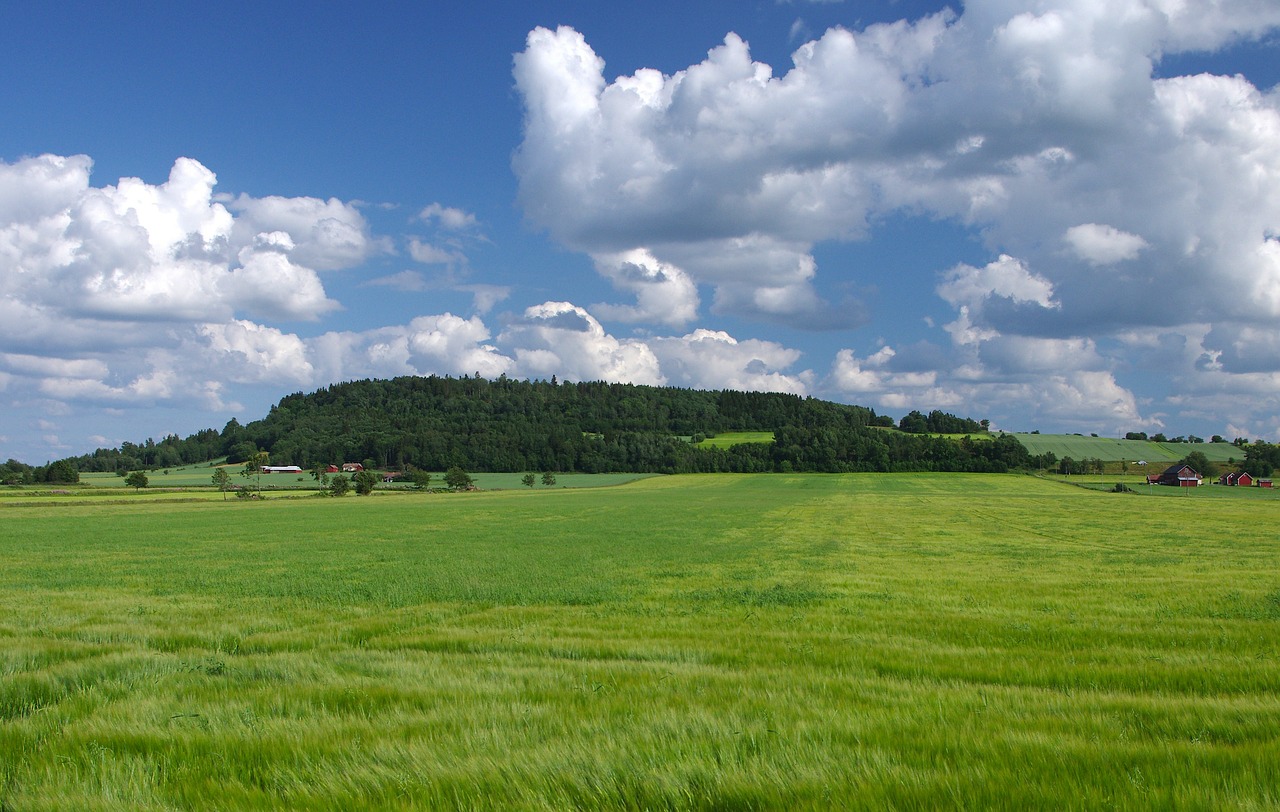 sweden landscape sky free photo