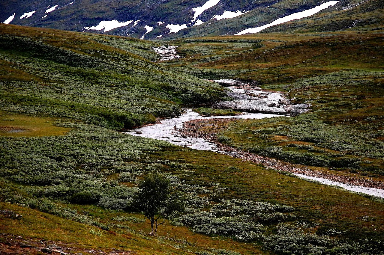 sweden landscape stream free photo