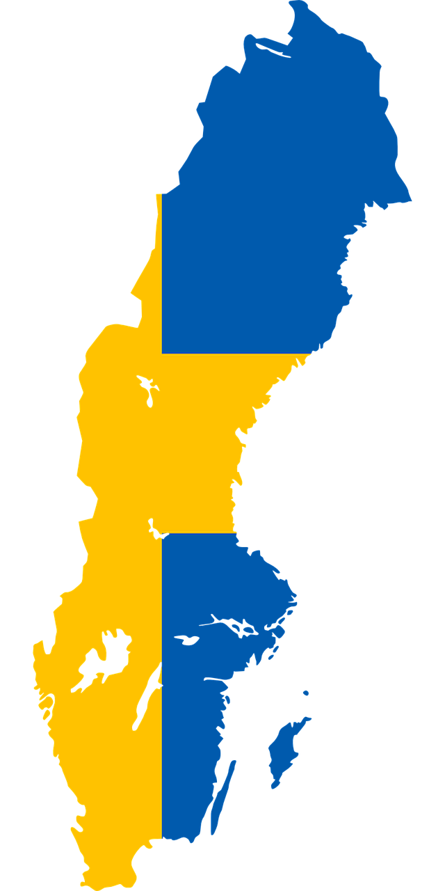 sweden flag map free photo