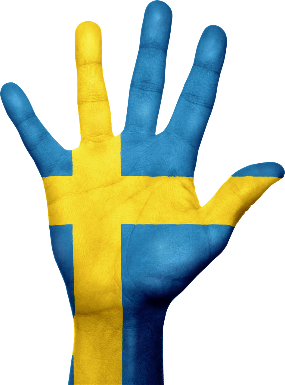sweden flag hand free photo