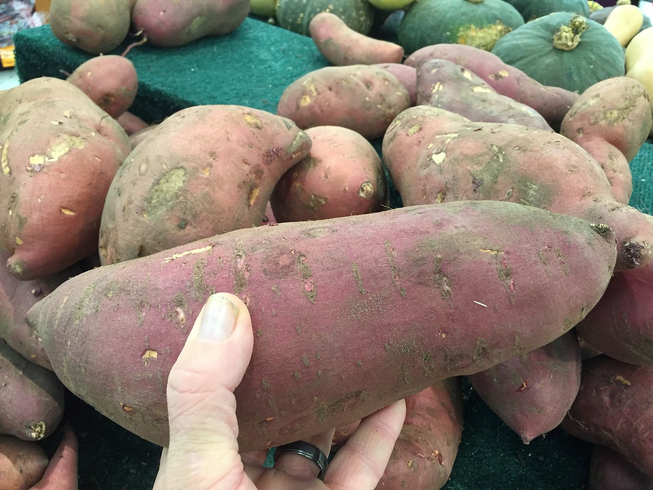 sweet potato vegetable free photo