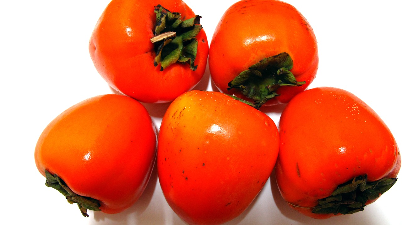 persimmon fruit harvest free photo