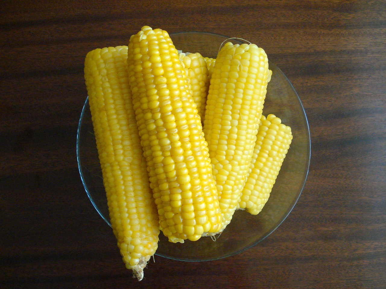 sweet corn crops free pictures free photo