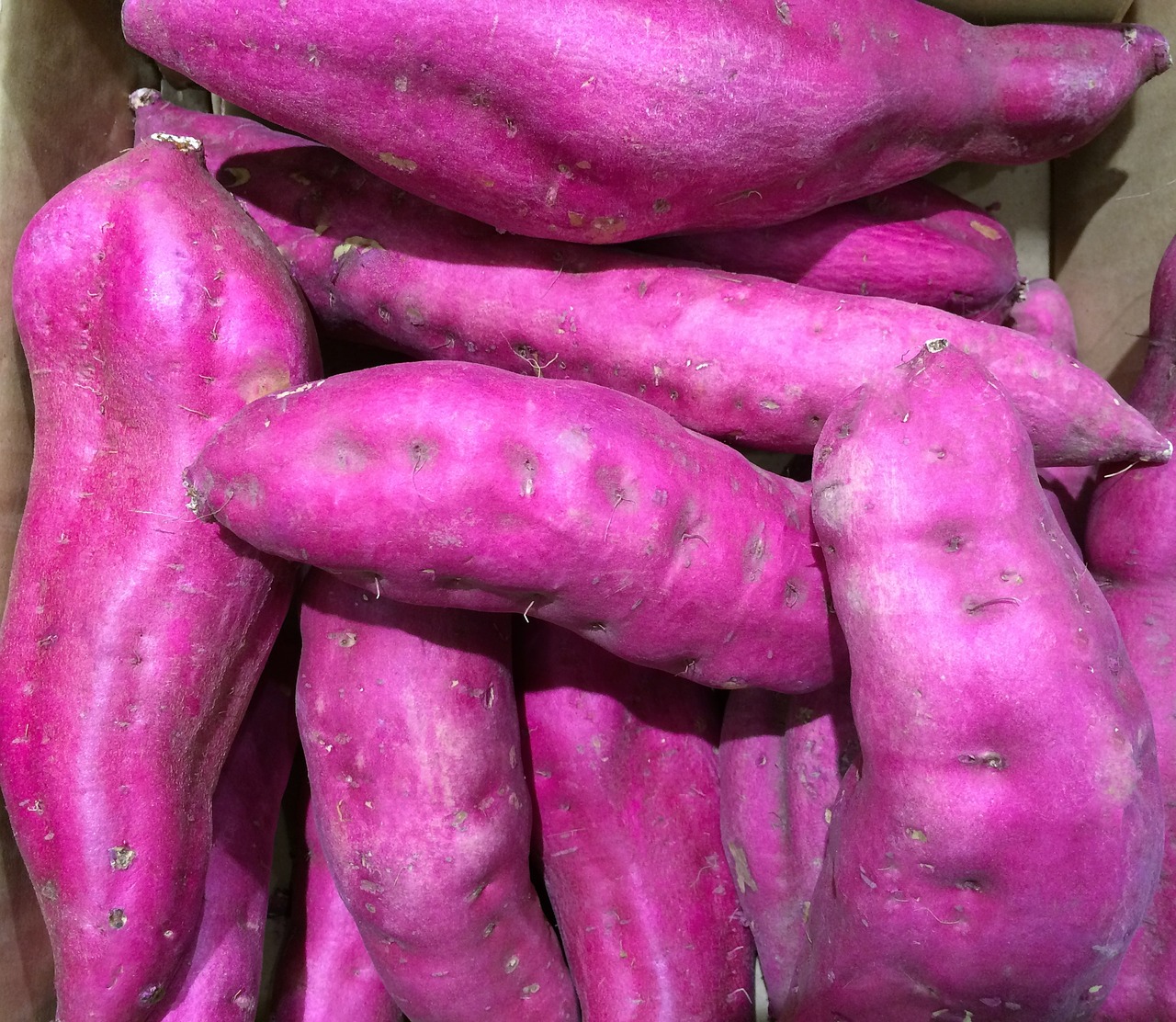 sweet potato purple seiyu ltd free photo