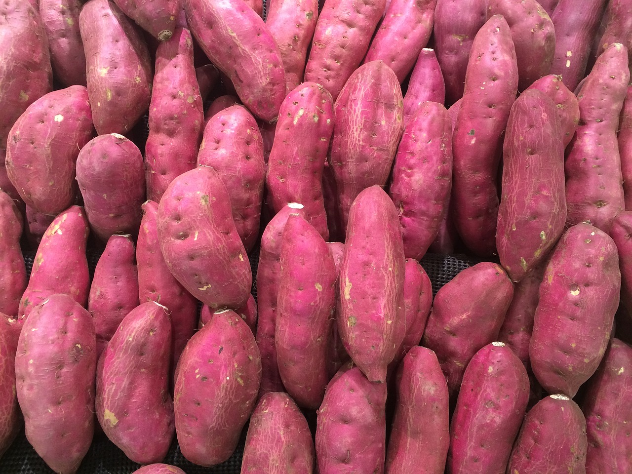 sweet potato red purple pile up free photo