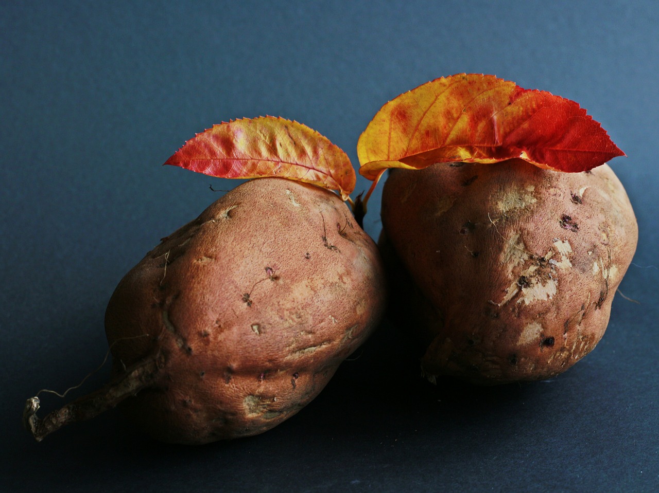 sweet potato potato eat free photo