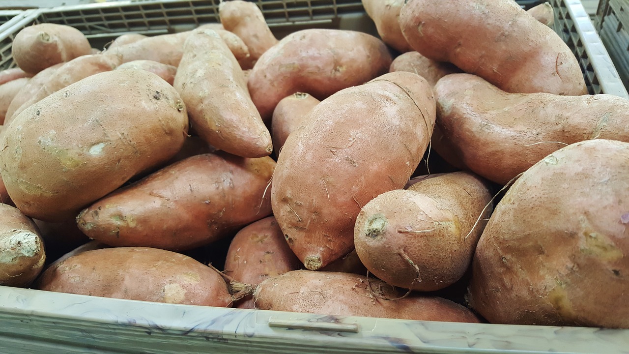 sweet potatoes potatoes food free photo