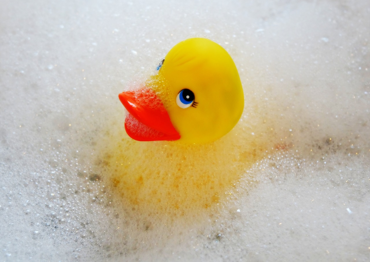 swim duck bath accessories free photo